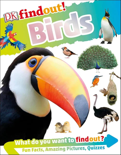 Coloring book cover titled 'World's Biggest Colour-in Rainforest' with a parrot illustration and markers.
