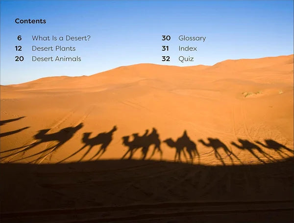 Desert landscape with camels' shadows and a list of chapter contents on a blue background.