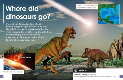 Educational graphic about dinosaurs and a asteroid impact, with text and illustrations of dinosaurs and an asteroid.