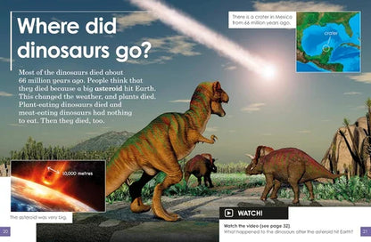 Educational graphic about dinosaurs and a asteroid impact, with text and illustrations of dinosaurs and an asteroid.