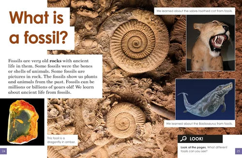 Educational page about fossils with images and text.
