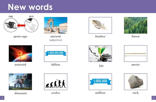 Educational flashcards with images and words related to vocabulary learning.