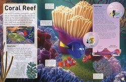 Educational display about coral reefs with colorful fish and text.