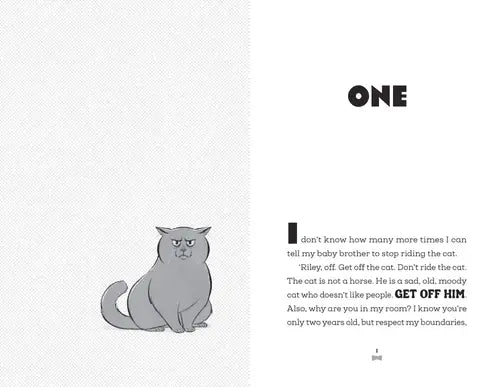 Comic strip with a cat and text on a white background