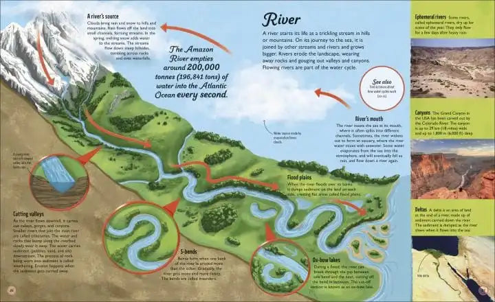 Educational diagram of a river system with text and illustrations.