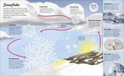 Educational diagram of snowflake formation with text and illustrations.