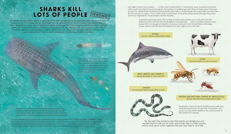 Educational page about sharks with illustrations and text on a blue and white background