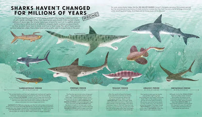 Educational diagram about shark evolution with various shark species illustrated.