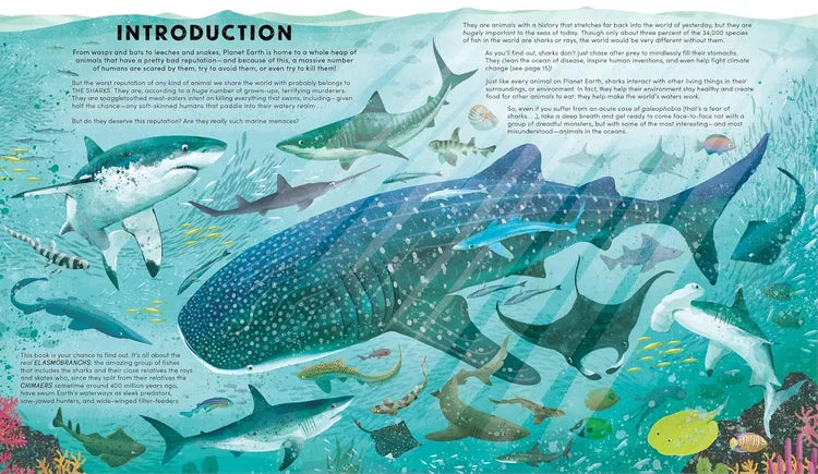 Illustration of various sharks and marine life with text on an underwater background