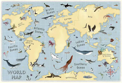 Atlas-of-Ocean-Adventures-Explore-Sea-Creatures-Habitats