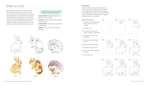 Page from a book showing illustrations of small animals and drawing instructions.