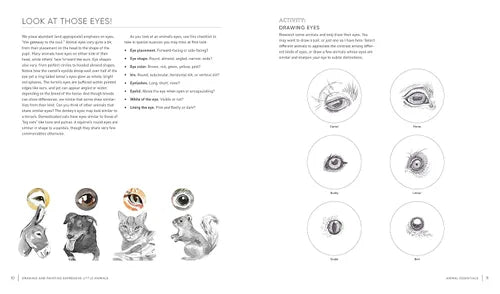 Illustrations of animal eyes with descriptions on a white background