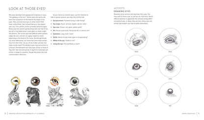 Illustrations of animal eyes with descriptions on a white background