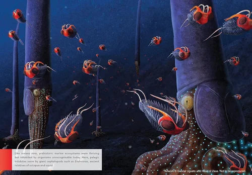 Colorful underwater scene with various marine creatures on a dark blue background