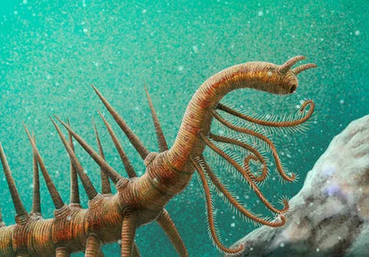 Illustration of a sea dragon-like creature with spiky body and long tentacles against a teal underwater background.