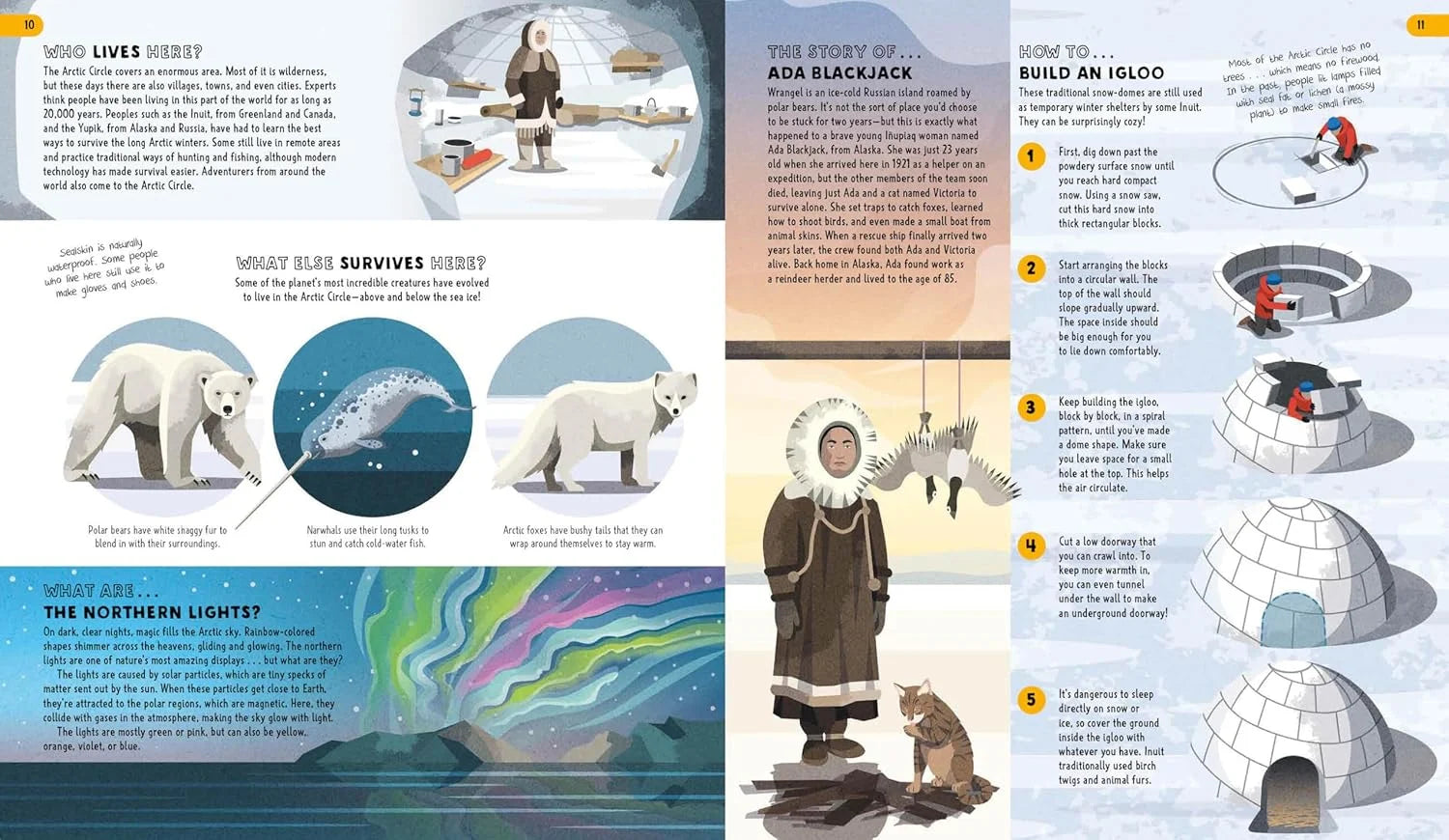 Educational book page about Arctic life with illustrations and text.