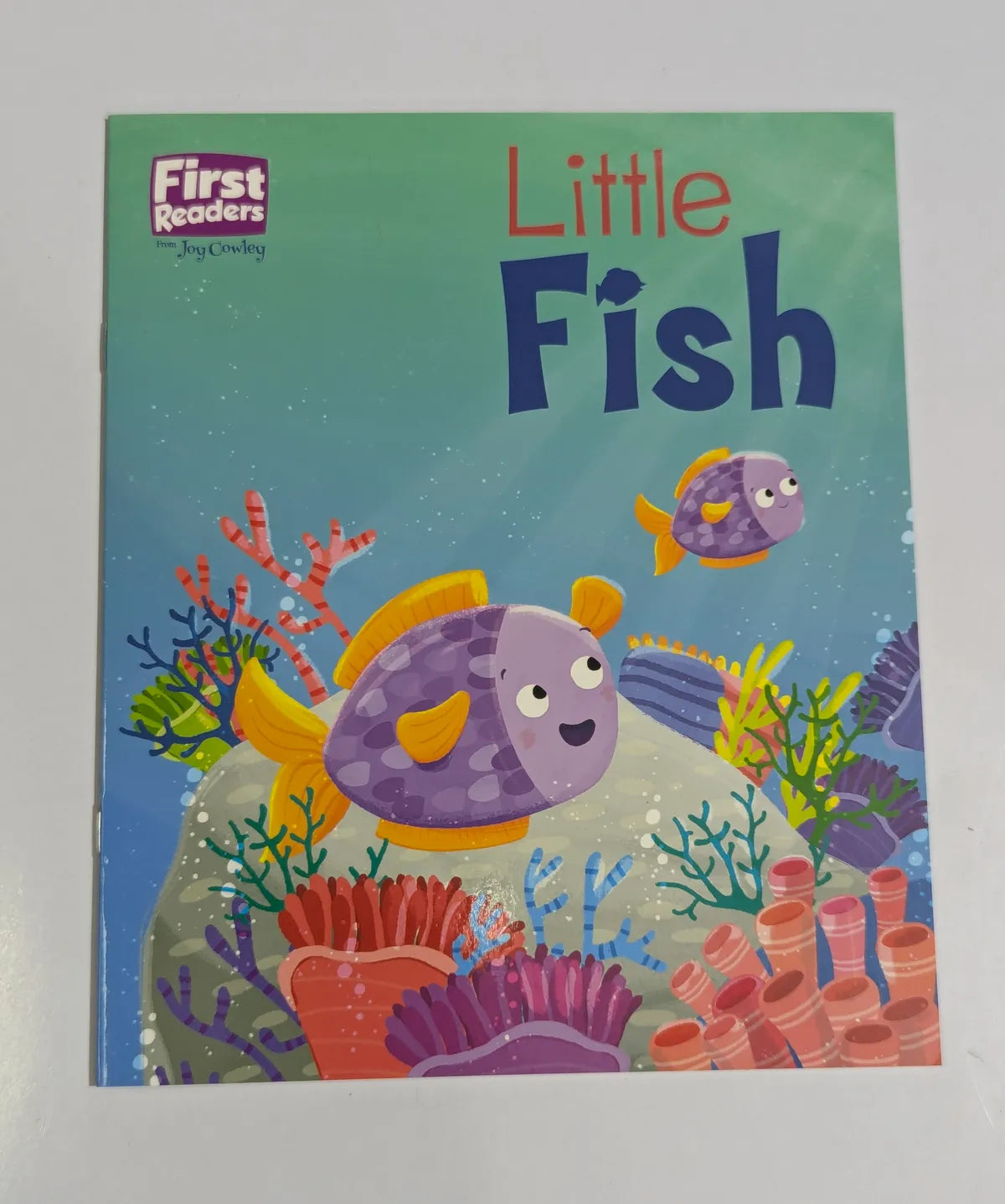 Children's book titled 'Little Fish' with colorful fish illustrations on a green background.