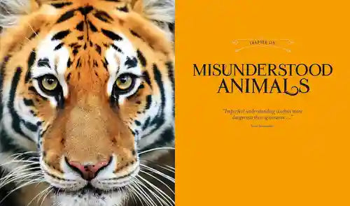 Close-up of a tiger's face with an orange background and text about misunderstood animals.