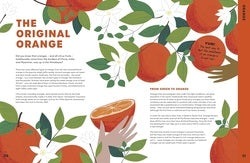 Illustration of oranges with leaves and a hand holding an orange, set against a white background.