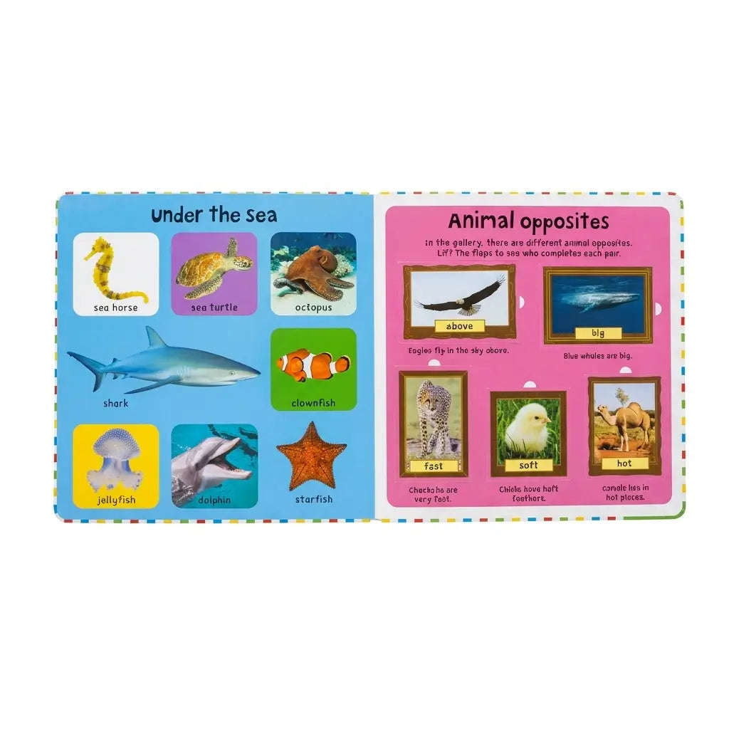 First 100 Animals Lift-the-Flap