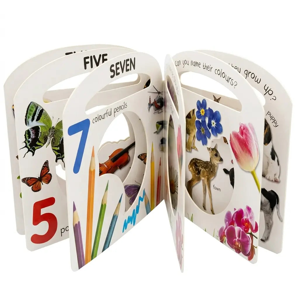 First Numbers Carry me around! Window Handle