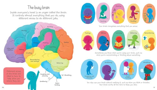 Educational illustration of a brain with different colored sections and corresponding activities.