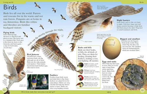 Educational illustration of birds with text and images on a white background