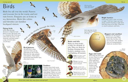 Educational illustration of birds with text and images on a white background