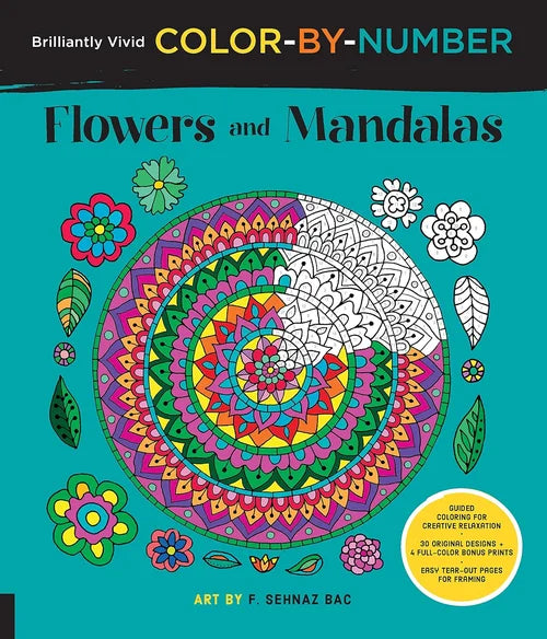 Color-by-number book cover with mandala and flowers on a teal background