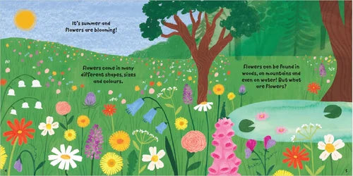 Colorful illustration of a garden with flowers and text about summer and flowers.