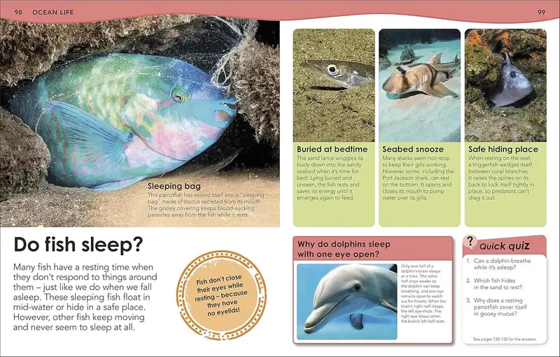 How-Deep-Is-the-Ocean-by-Steve-Setford-200-Amazing-Questions-about-oceans-and-seas