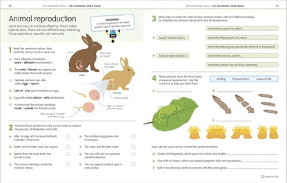 How to be Good at Science, Technology & Engineering Workbook 2