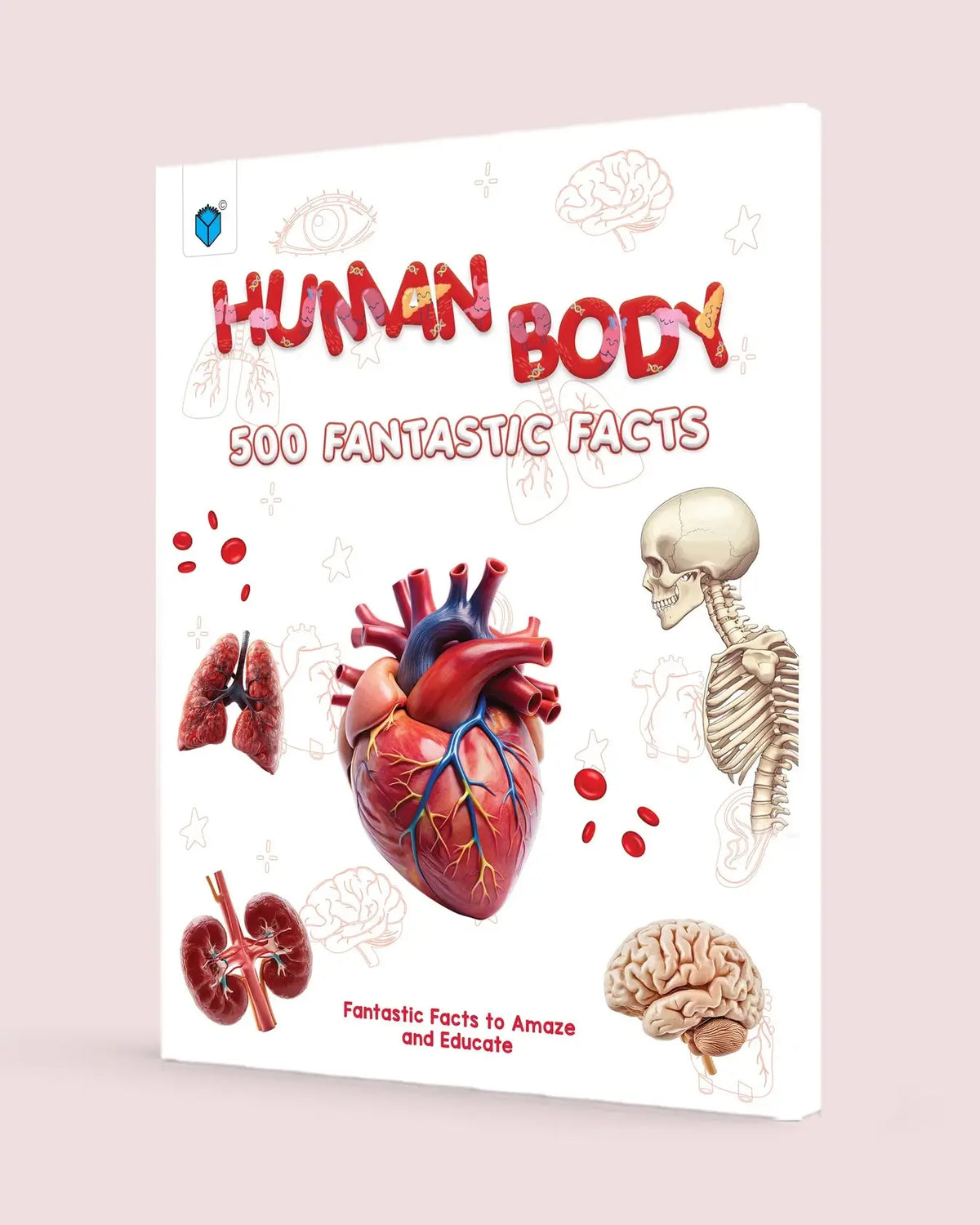 Human Body: 500 Fantastic Facts 