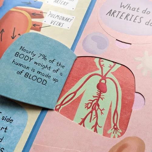 Educational chart with anatomical illustrations and text about blood composition.