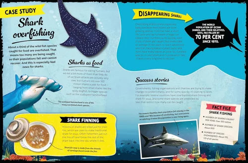 Educational infographic about shark overfishing and conservation efforts with illustrations and text.