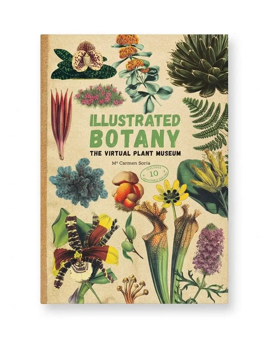 Illustrated Botany: The Virtual Plant Museum book cover by M. Carmen Sorriso, featuring vintage botanical illustrations on a beige background with green title text.
