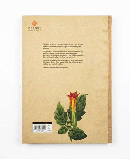 The back cover of the Orange Mosquito book, featuring a textured beige background with descriptive text, a barcode, and an illustration of a red and yellow flower with green leaves.