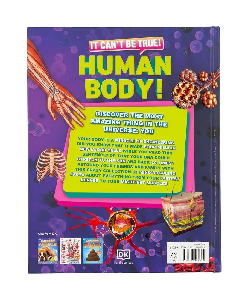 The back cover of the DK Children's book 'Human Body!' featuring a purple background with anatomical illustrations, a large yellow title, and a bright green text box.