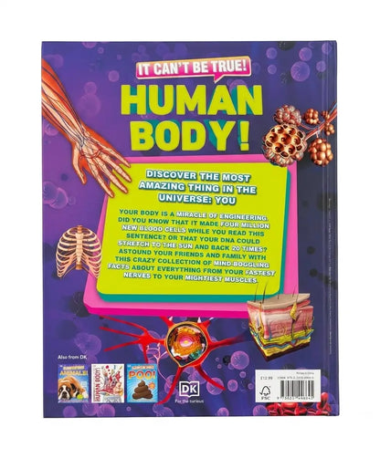 The back cover of the DK Children's book 'Human Body!' featuring a purple background with anatomical illustrations, a large yellow title, and a bright green text box.