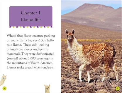 Book page with a llama in a desert landscape and text about llama life.