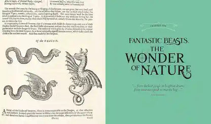 Book cover with illustrations of dragons and text on a green background