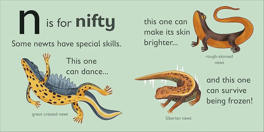 N is for Newt