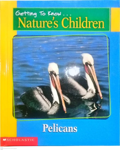 Book cover of 'Getting To Know Nature's Children: Pelicans' with two pelicans on a blue background.