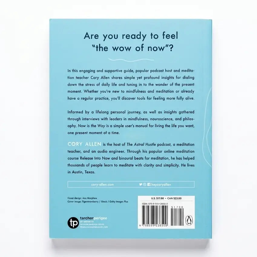 Book cover with text on a light blue background