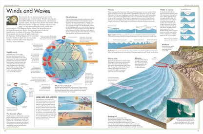 Educational diagram about winds and waves with text and illustrations.