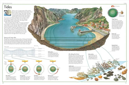 Educational diagram of tides with a cross-sectional view of a coastal area, illustrations of tides, and information text.