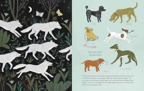 Illustrations of wolves and dogs on a dark background with plants and a butterfly.