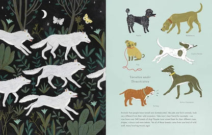 Illustrations of wolves and dogs on a dark background with plants and a butterfly.