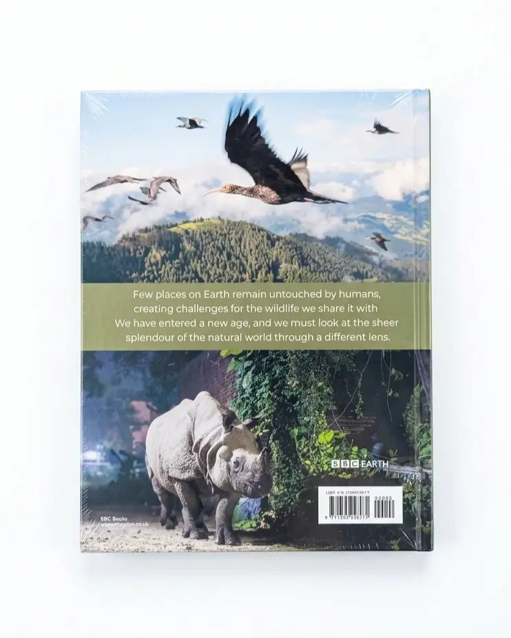 The back cover of the BBC Earth documentary box set, featuring a dramatic landscape with flying birds, a rhinoceros, and a central olive-green text banner.