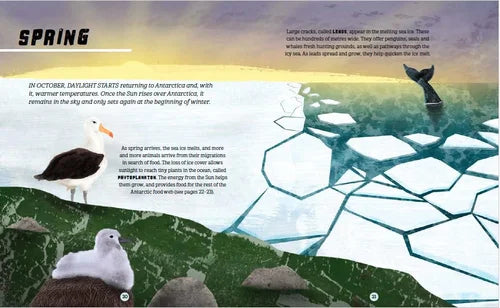 Illustration of penguins on ice with text about Antarctic life